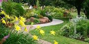 Landscaping Companies Raleigh NC